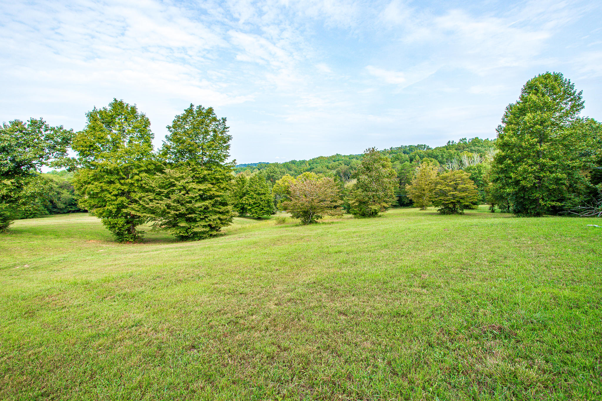 Stringtown Road Strawberry Plains, TN 37871 - Photo 1 of 16 Ashevillehwylots-12