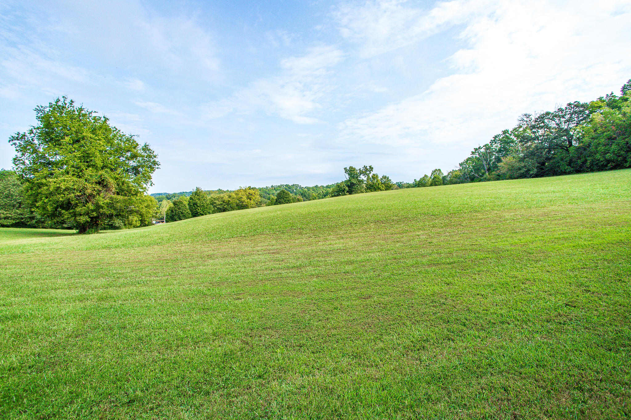 Stringtown Road Strawberry Plains, TN 37871 - Photo 2 of 16 Ashevillehwylots-8