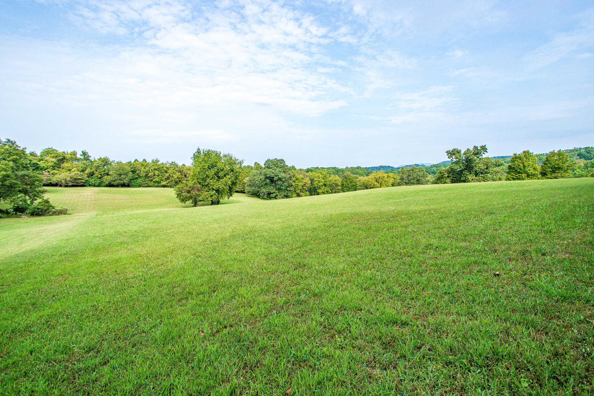 Stringtown Road Strawberry Plains, TN 37871 - Photo 3 of 16 Ashevillehwylots-9