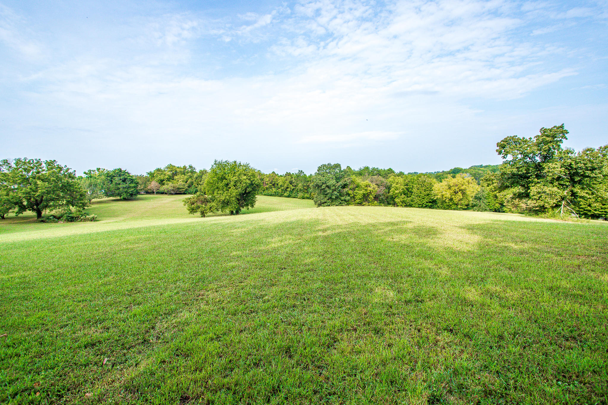 Stringtown Road Strawberry Plains, TN 37871 - Photo 4 of 16 Ashevillehwylots-10