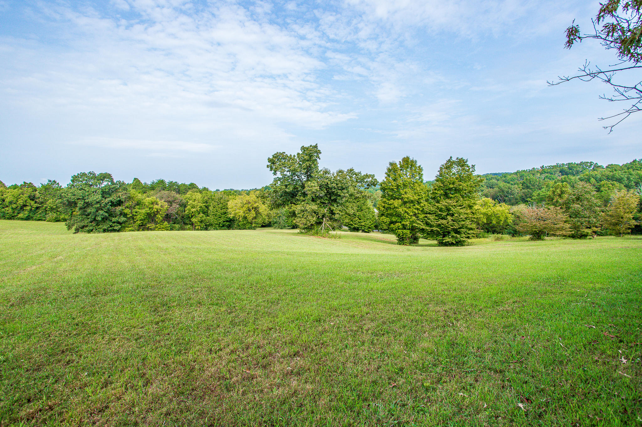 Stringtown Road Strawberry Plains, TN 37871 - Photo 5 of 16 Ashevillehwylots-11
