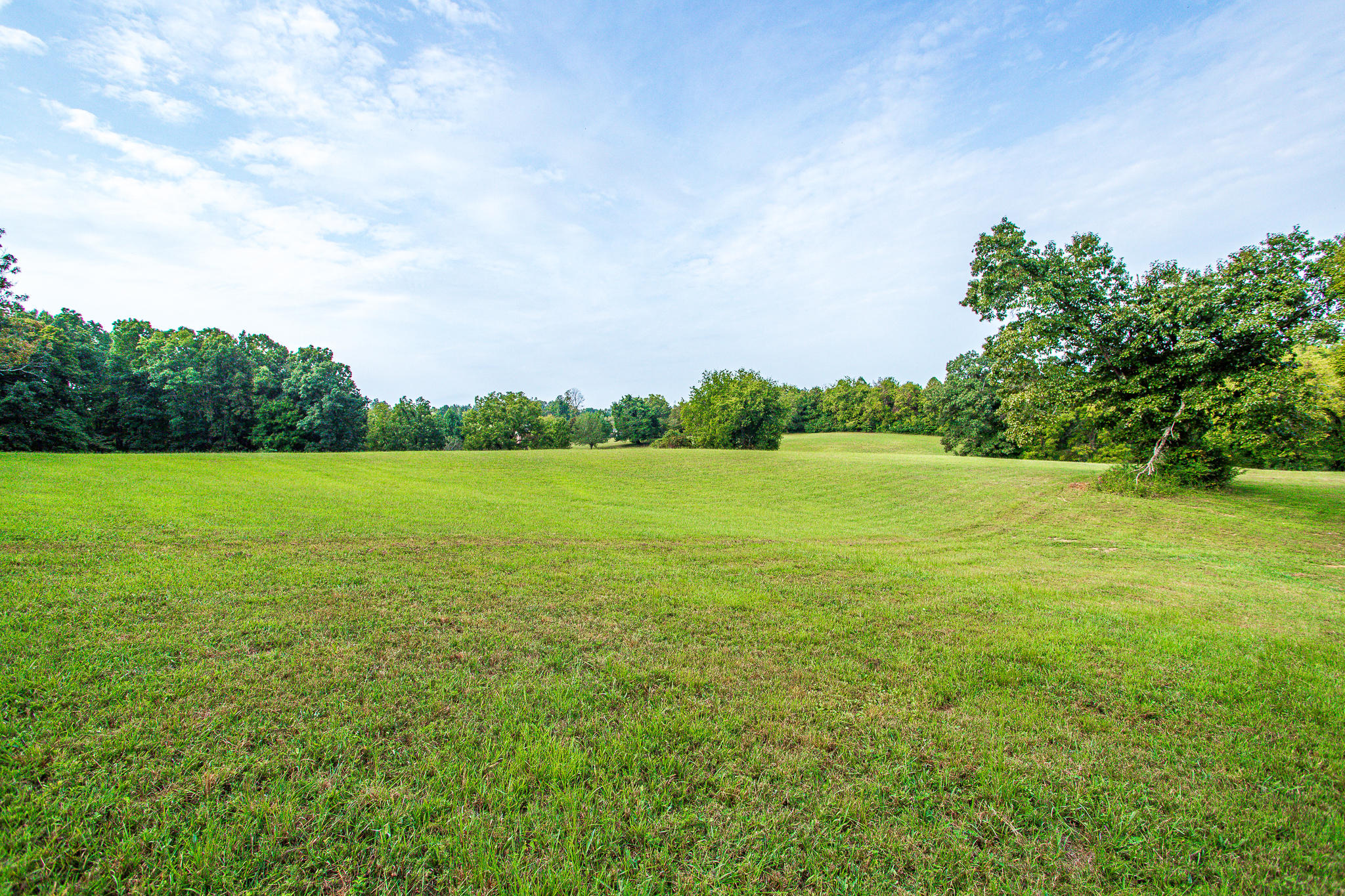 Stringtown Road Strawberry Plains, TN 37871 - Photo 6 of 16 Ashevillehwylots-13