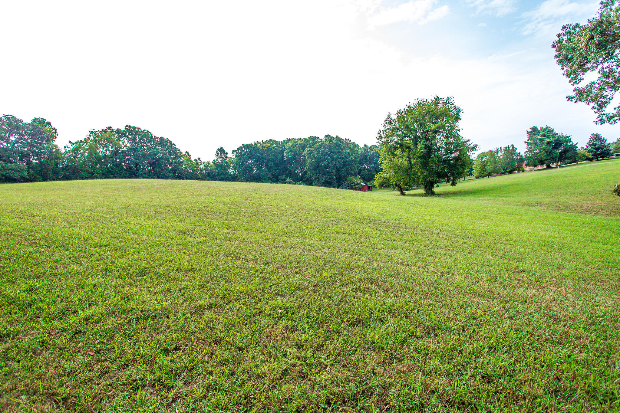 Stringtown Road Strawberry Plains, TN 37871 - Photo 8 of 16 Ashevillehwylots-15