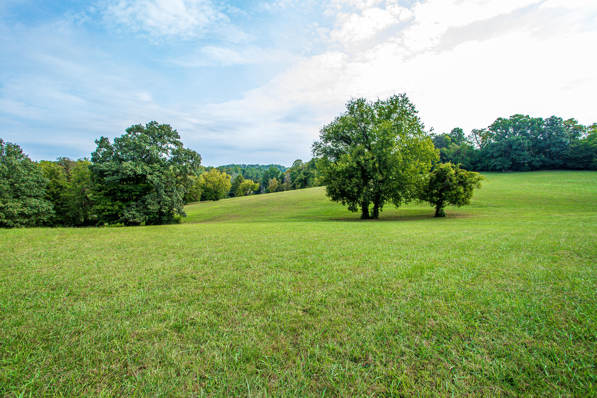 Stringtown Road Strawberry Plains, TN 37871 - Photo 9 of 16 Ashevillehwylots-16