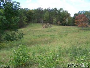 0 Barrcut Road Spencer, WV 25276 - Photo 5 of 9 Meadows building sites