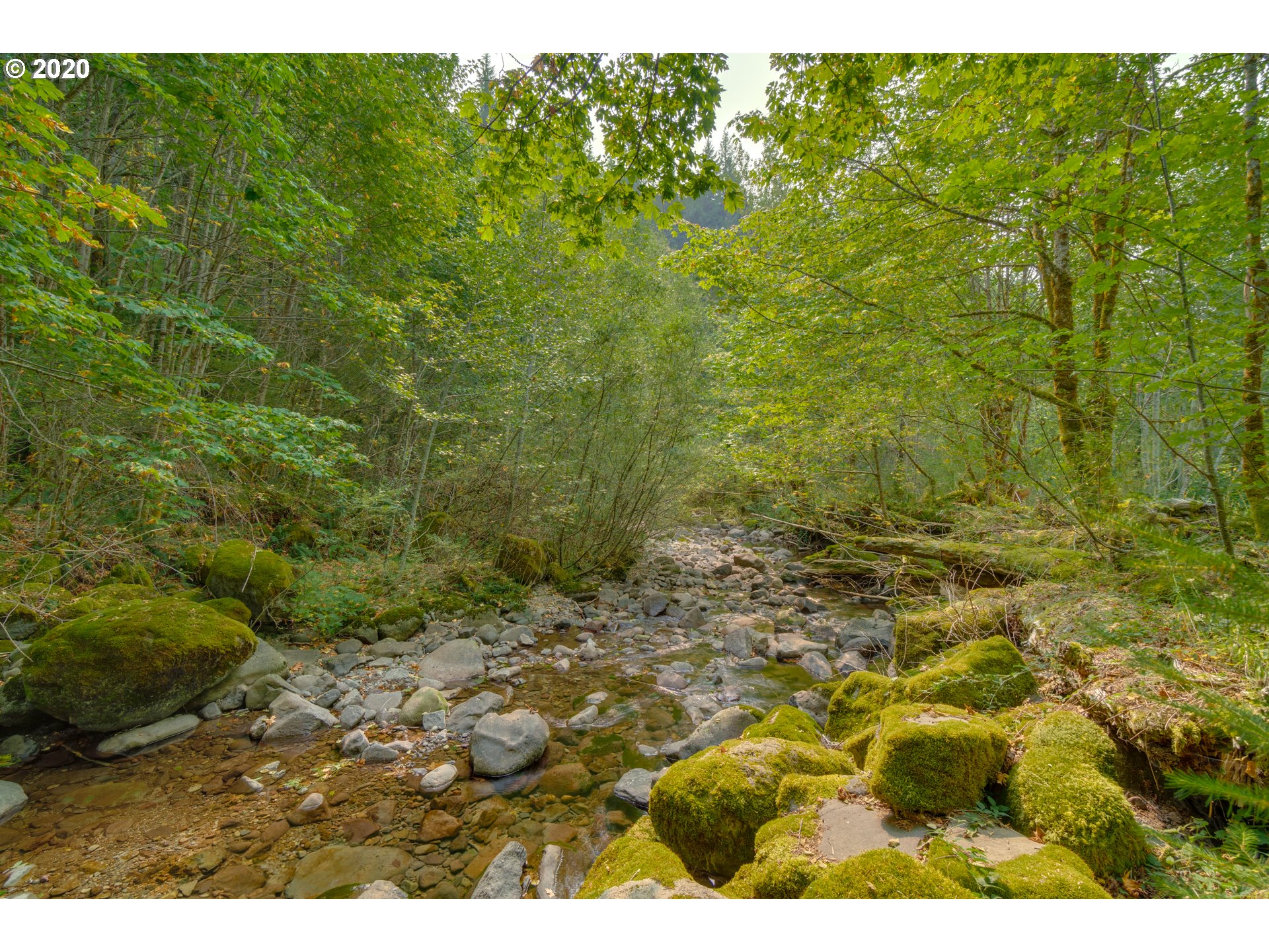 18740 East Aschoff Road Rhododendron, OR 97049 - Photo 28 of 32 Gallery Image 28