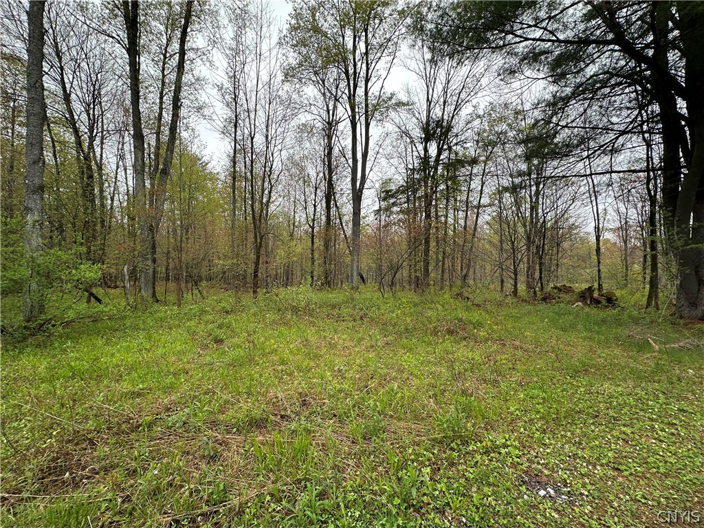 4815 Texas Road Croghan, NY 13619 - Photo 4 of 19