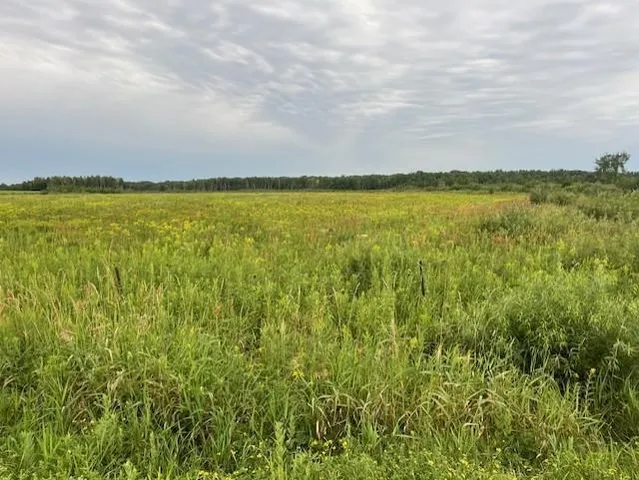 $1,119,790 | 23-xxx Olympic Street, Brook Park, MN 55007