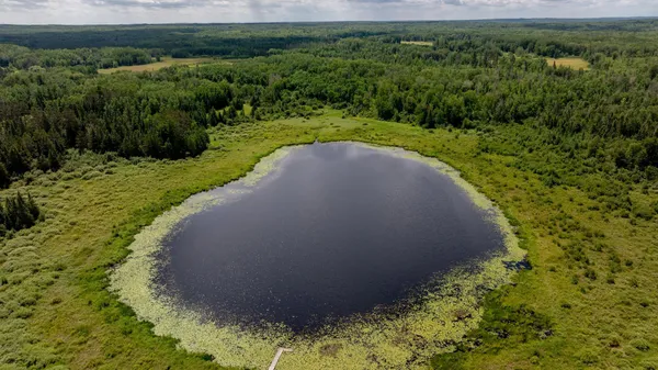 $729,000 | 4448 88th Avenue Northeast, Remer, MN 56672