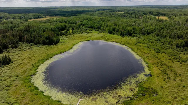 $729,000 | 4448 88th Avenue Northeast, Remer, MN 56672