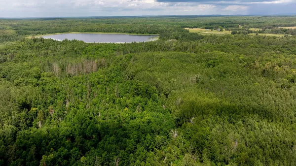 $729,000 | 4448 88th Avenue Northeast, Remer, MN 56672