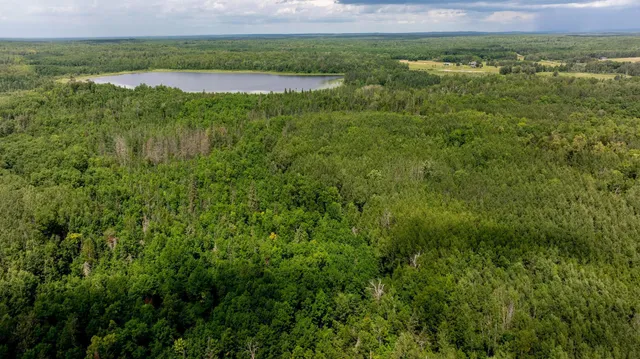 $729,000 | 4448 88th Avenue Northeast, Remer, MN 56672