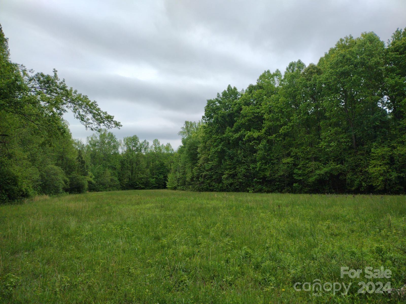 4248 Henry Dellinger Road Maiden, NC 28650 - Photo 29 of 34 Gallery Image 29