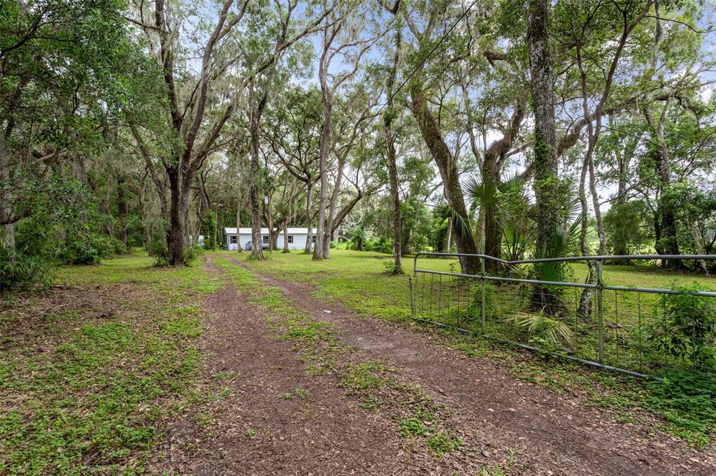 13008 Douglas Road Dade City, FL 33525 - Photo 1 of 1 Gallery Image 1