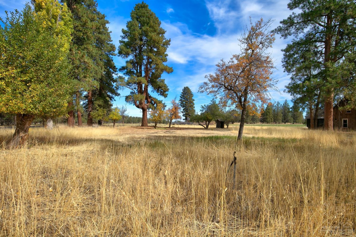 17442 Jordan Road Sisters, OR 97759 - Photo 13 of 25 Gallery Image 13