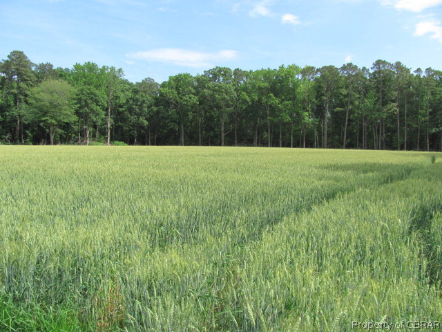 2 Smith Point Road Reedville, VA 22539 - Photo 5 of 23 Gallery Image 5