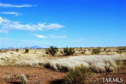 0 East Indian Ridge Road Pearce, AZ 85625 - Photo 13 of 22