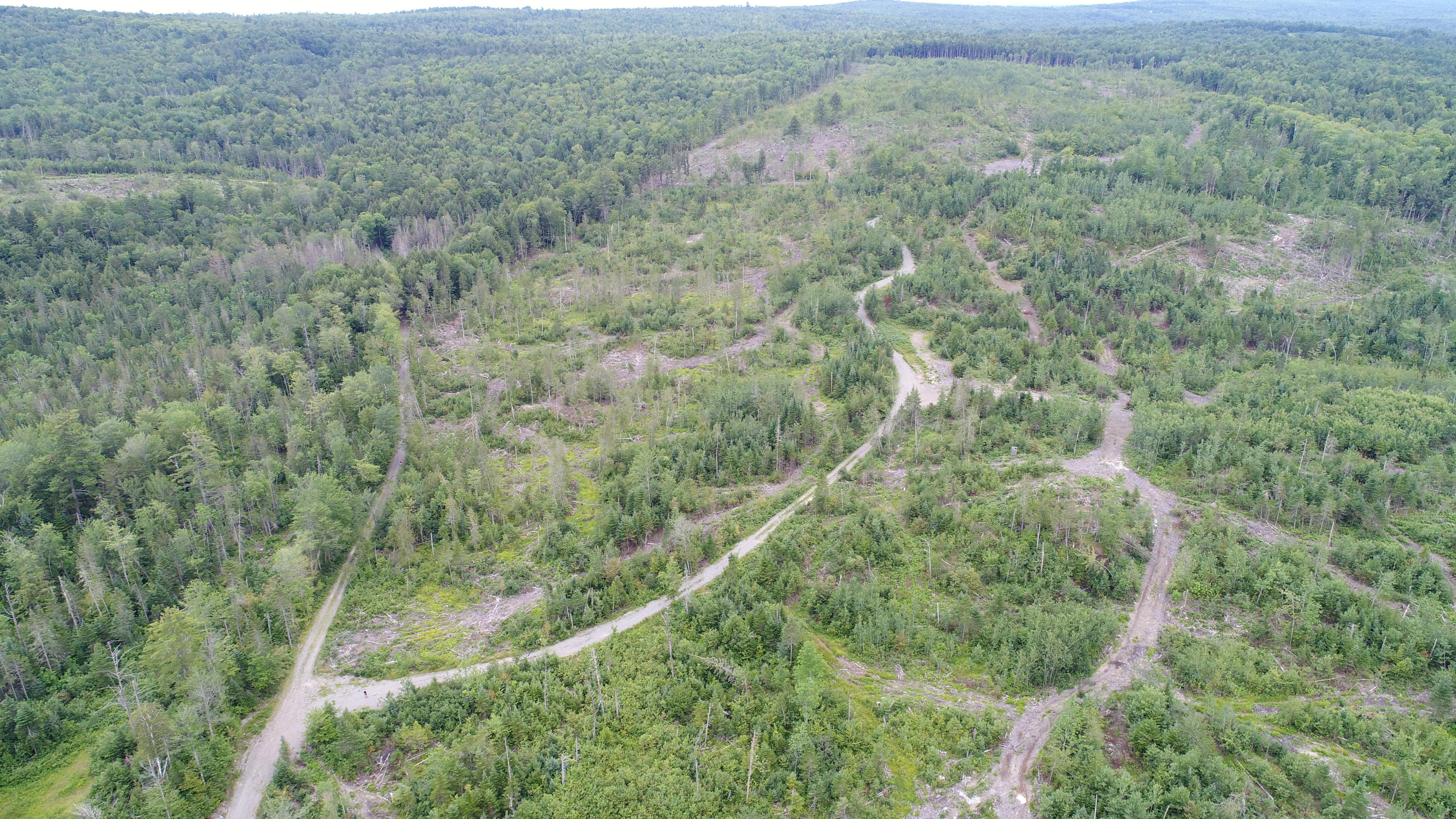Tbd McCarty Road Solon, ME 04979 - Photo 15 of 17 DJI_0118