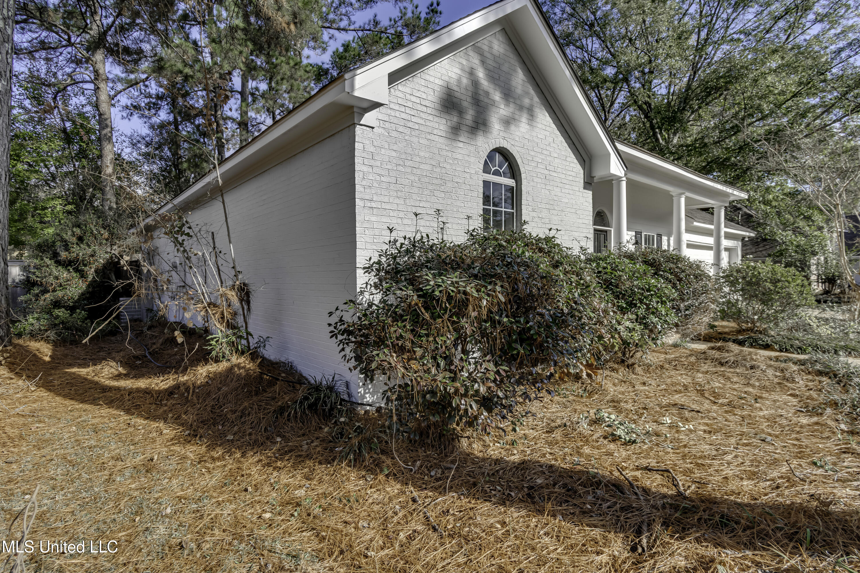 1116 Ellington Court Brandon, MS 39042 - Photo 7 of 58 1116 ellington Ct--8