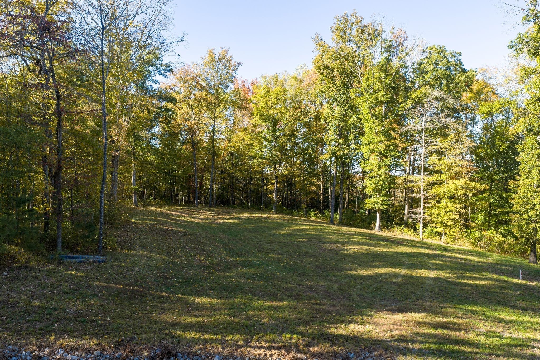 7483 Liberty Road Fairview, TN 37062 - Photo 40 of 52