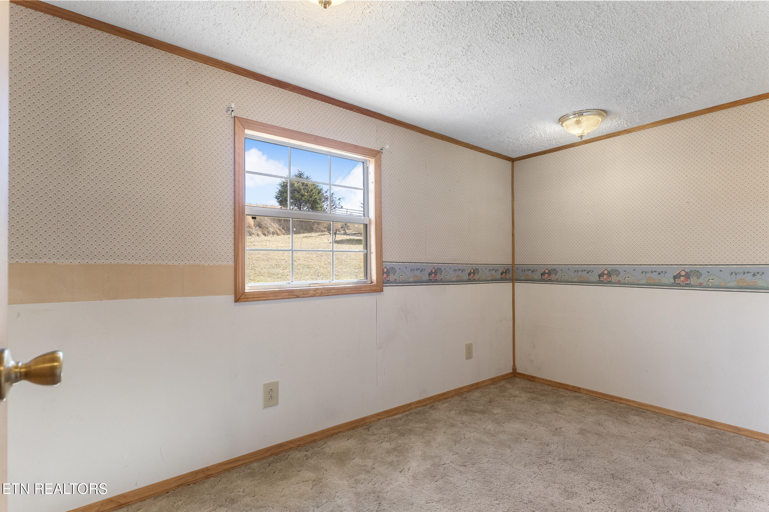 1577 Alton Road Sneedville, TN 37869 - Photo 22 of 56 20_arw03378