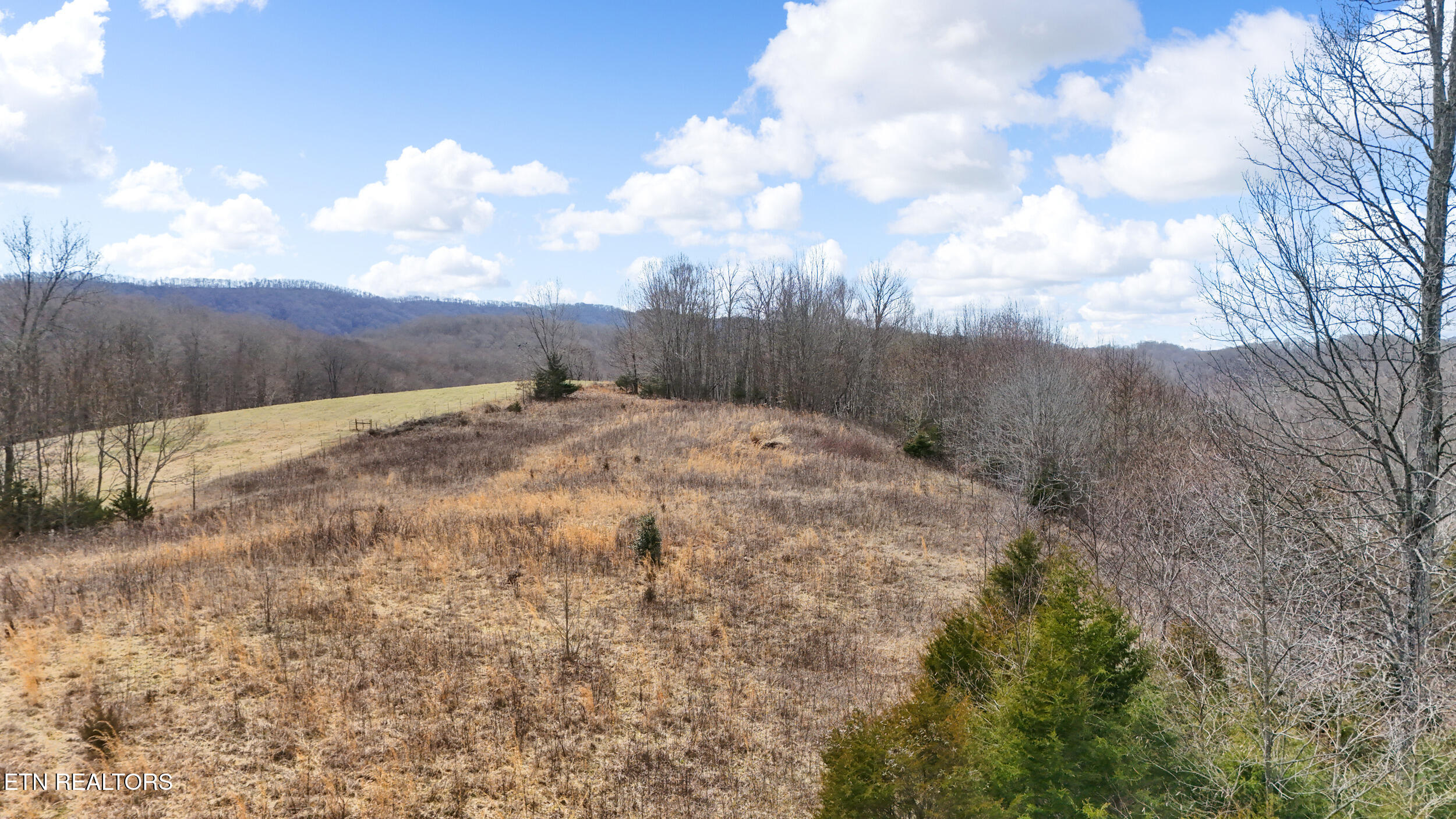 1577 Alton Road Sneedville, TN 37869 - Photo 52 of 56 53_dji_20250301125609_0711_d