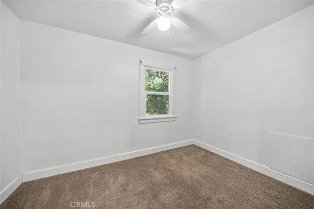 a view of backyard with tree