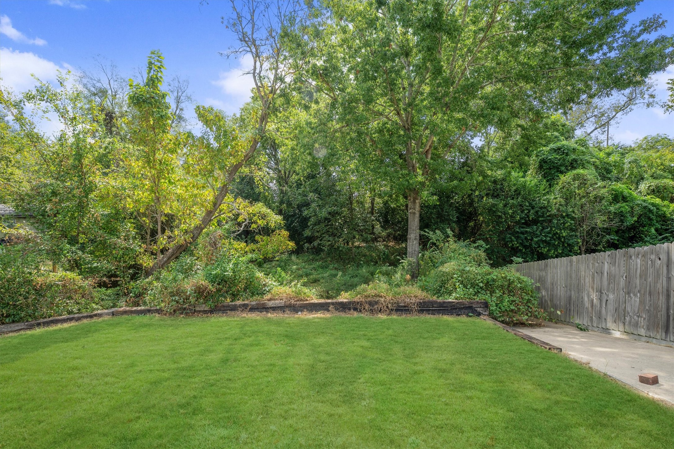 1417 15th Street Huntsville, TX 77340 - Photo 45 of 45 a view of a yard with a tree