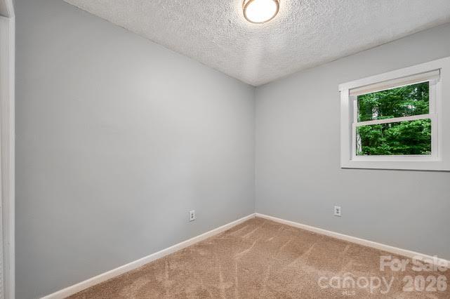 94 West Ridge Road Mars Hill, NC 28754 - Photo 17 of 26 Gallery Image 17