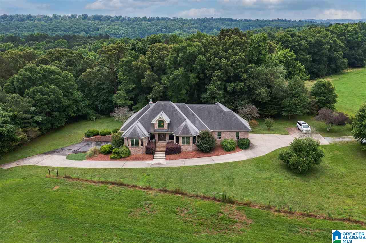 1484 Bullard Road Blountsville, AL 35031 - Photo 5 of 39