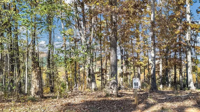 a view of outdoor space