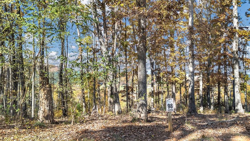98 Winding Road Blairsville, GA 30512 - Photo 12 of 12 a view of outdoor space