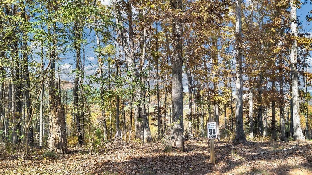 98 Winding Road Blairsville, GA 30512 - Photo 12 of 12