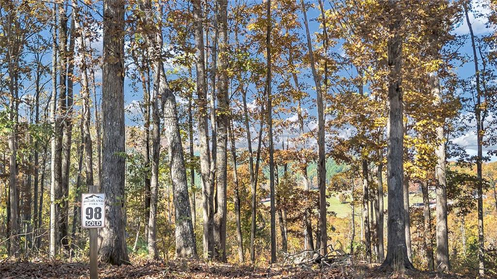 98 Winding Road Blairsville, GA 30512 - Photo 2 of 12 a view of outdoor space with lots of trees