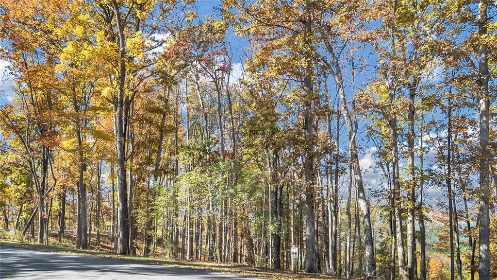 98 Winding Road Blairsville, GA 30512 - Photo 6 of 12 a view of a yard from a tree