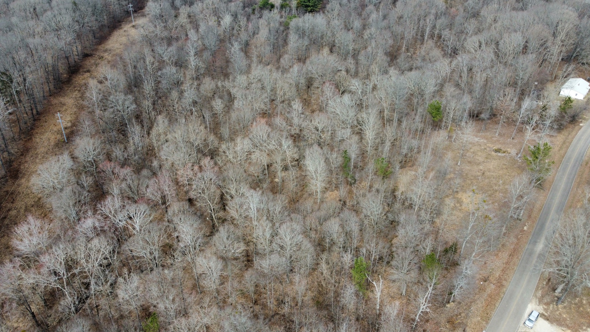 0 St Paul Church Road Huntingdon, TN 38344 - Photo 15 of 20 Gallery Image 15
