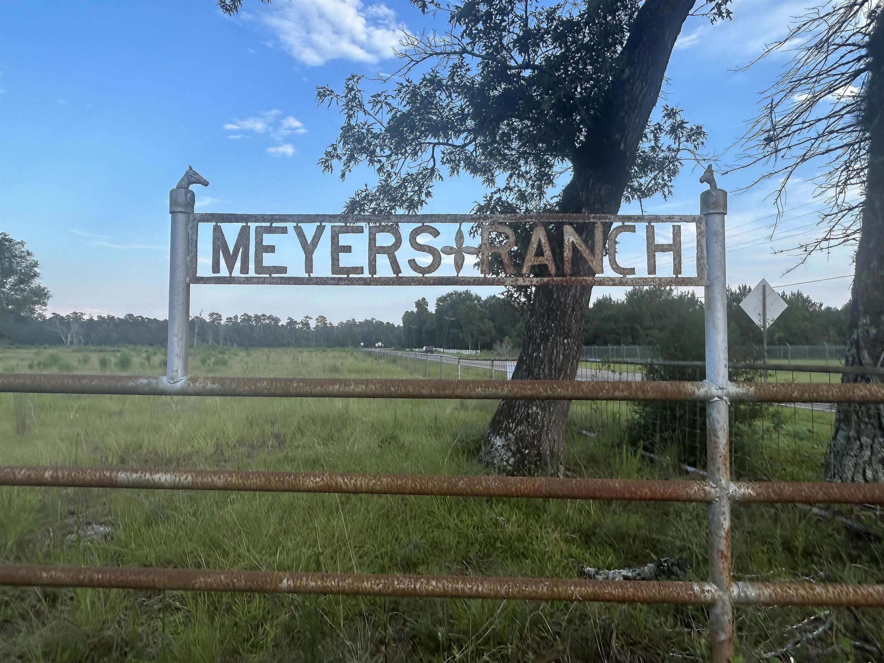 0 Meyer Road Orange, TX 77632 - Photo 17 of 19