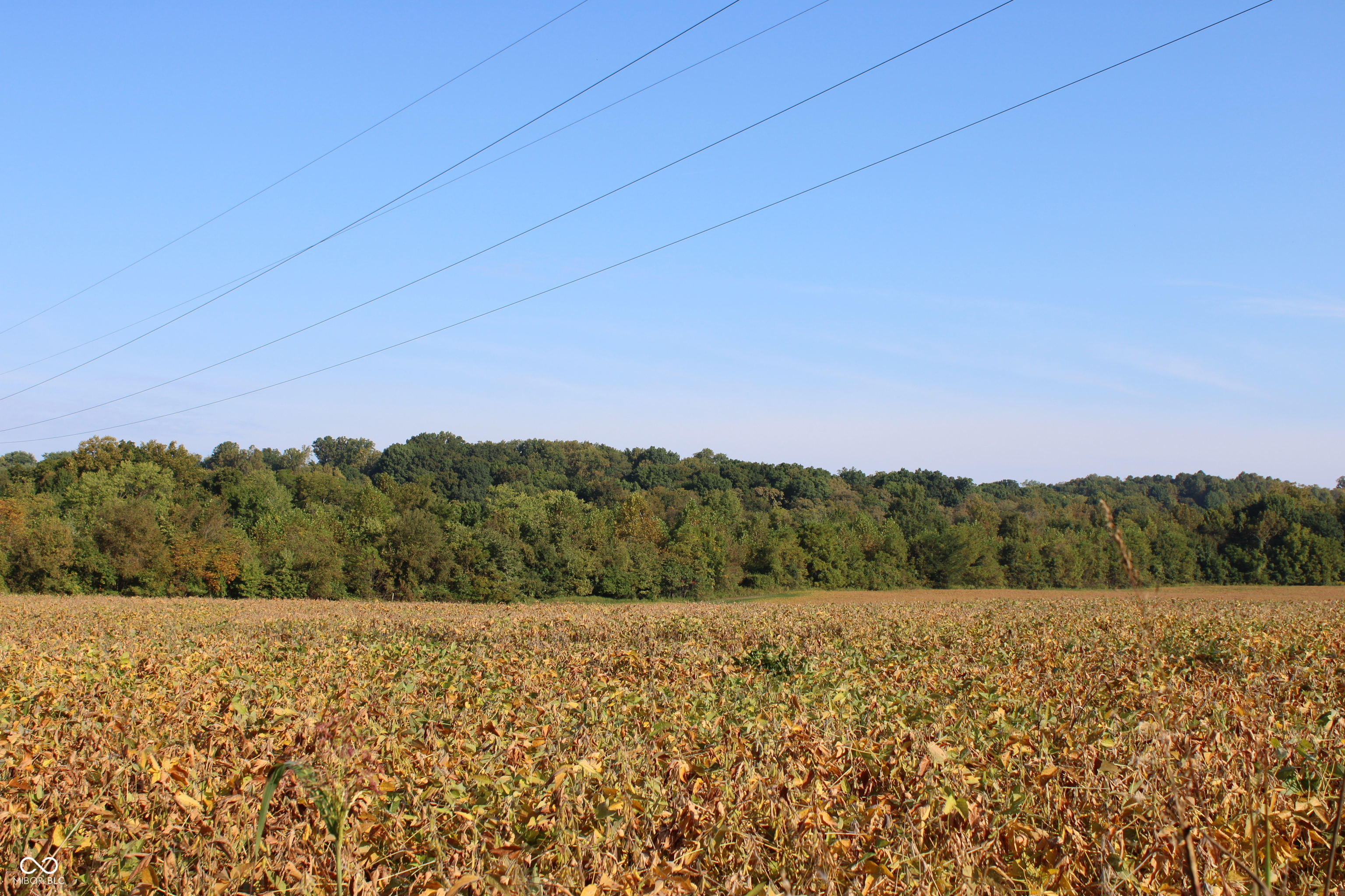 0 Sandpit Road Bedford, IN 47421 - Photo 1 of 10