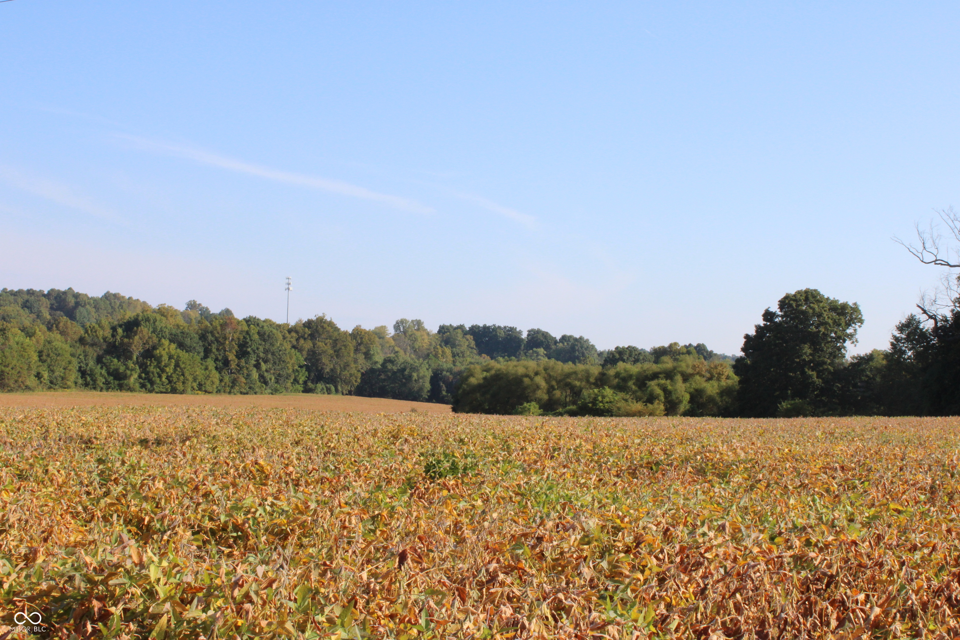 0 Sandpit Road Bedford, IN 47421 - Photo 5 of 10