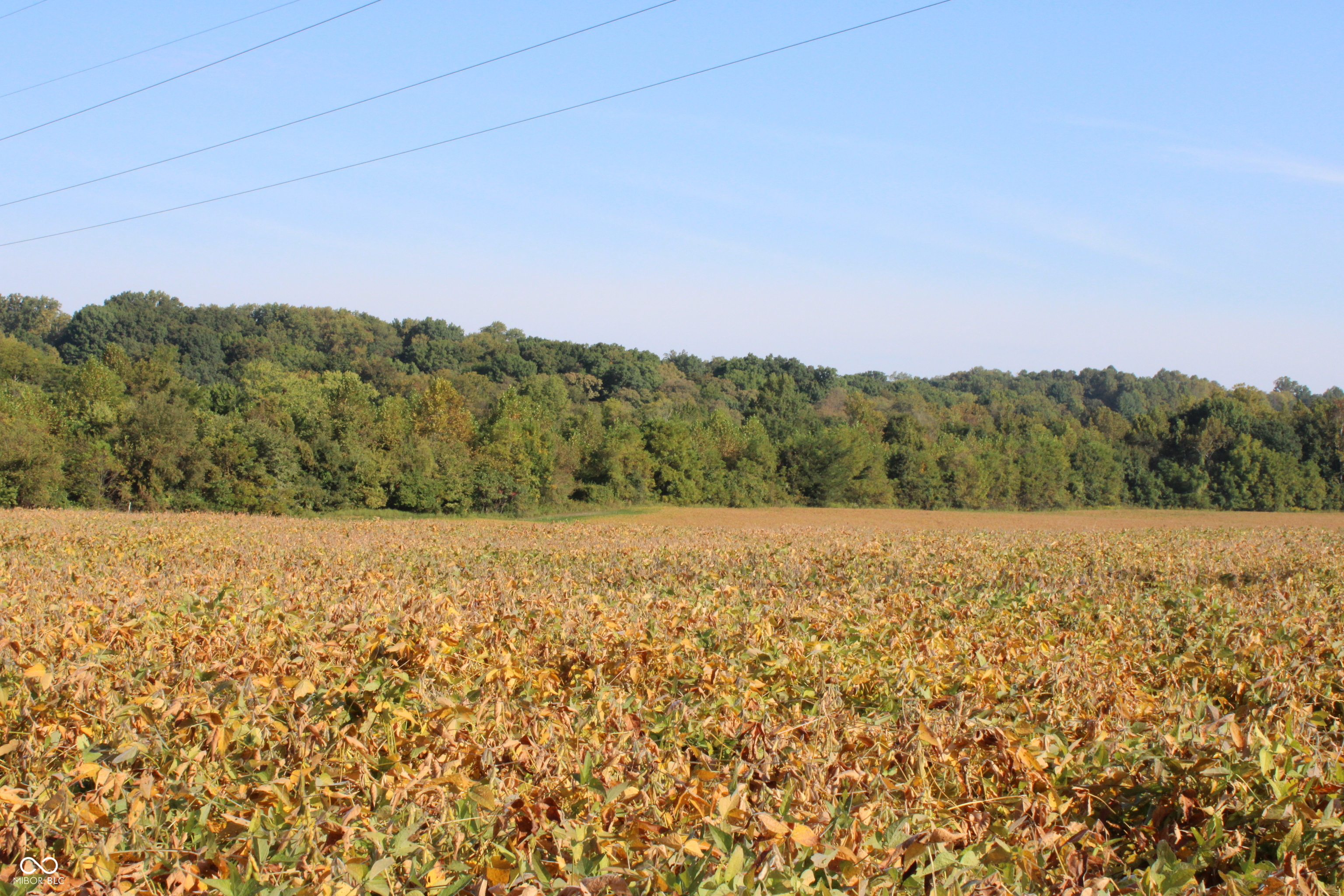 0 Sandpit Road Bedford, IN 47421 - Photo 6 of 10