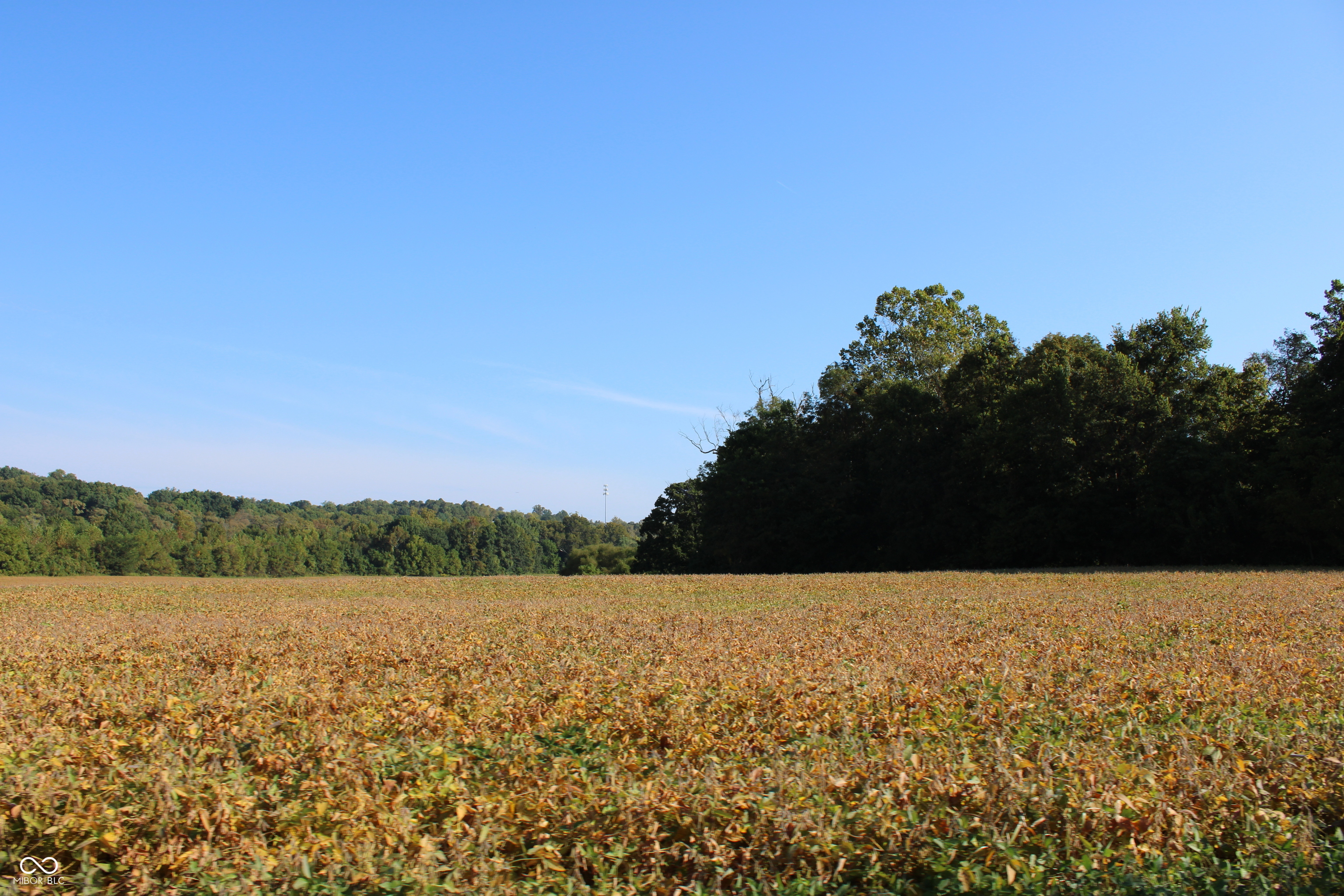0 Sandpit Road Bedford, IN 47421 - Photo 7 of 10