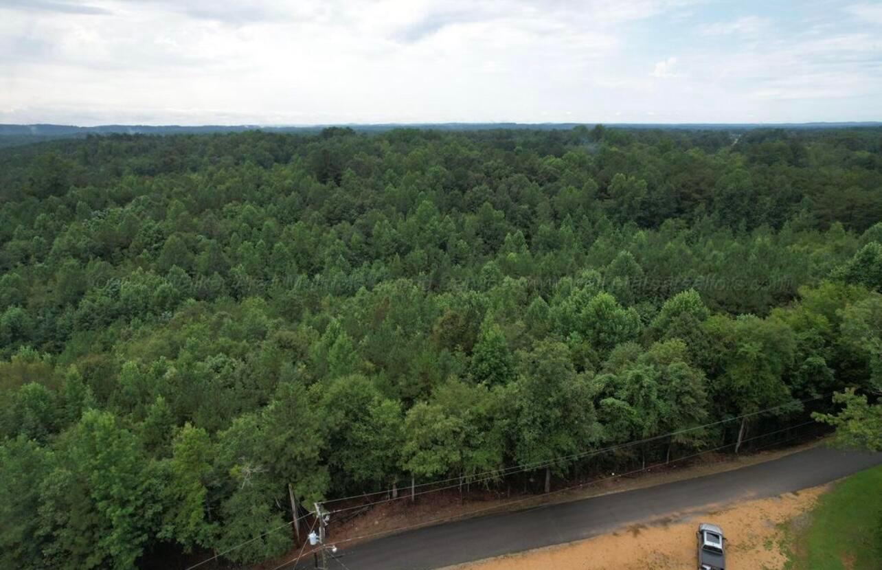 Clayton Road Jasper, AL 35504 - Photo 4 of 5 image3