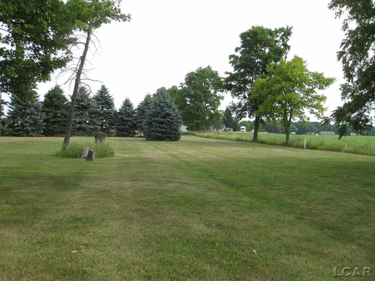 12975 North Ridge Road Milan, MI 48160 - Photo 30 of 37 31296426-29.JPG