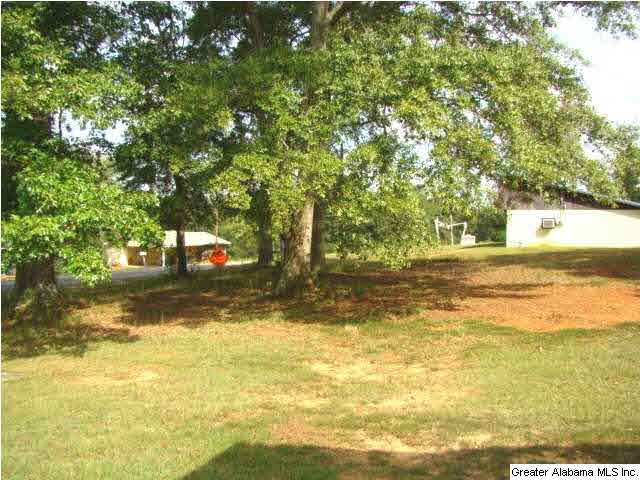 712 Brutonville Road Jacksonville, AL 36265 - Photo 14 of 19