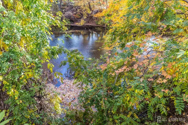 a view of a lake with a tree