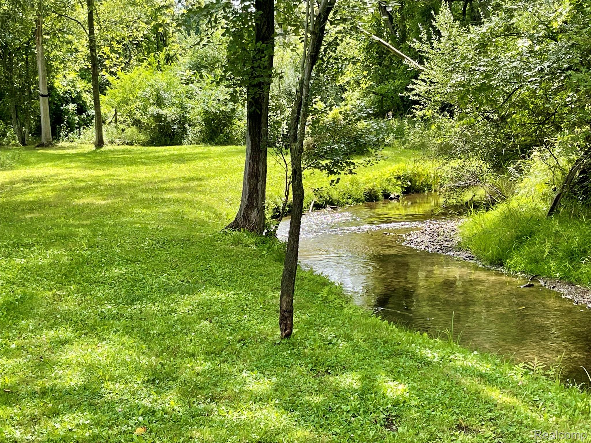 7330 West Gates Street Romeo, MI 48065 - Photo 74 of 84 Expansive natural landscape featuring a flowing creek, lush green grass, and mature trees