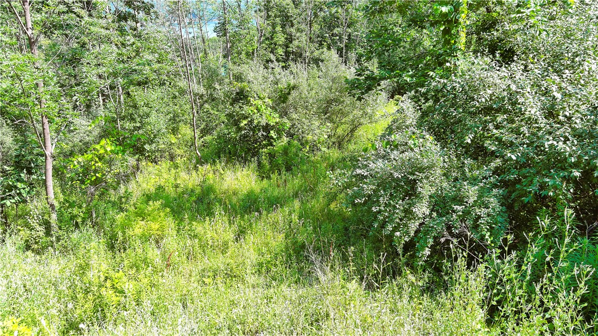 0 Hawks Road Naples, NY 14512 - Photo 4 of 6