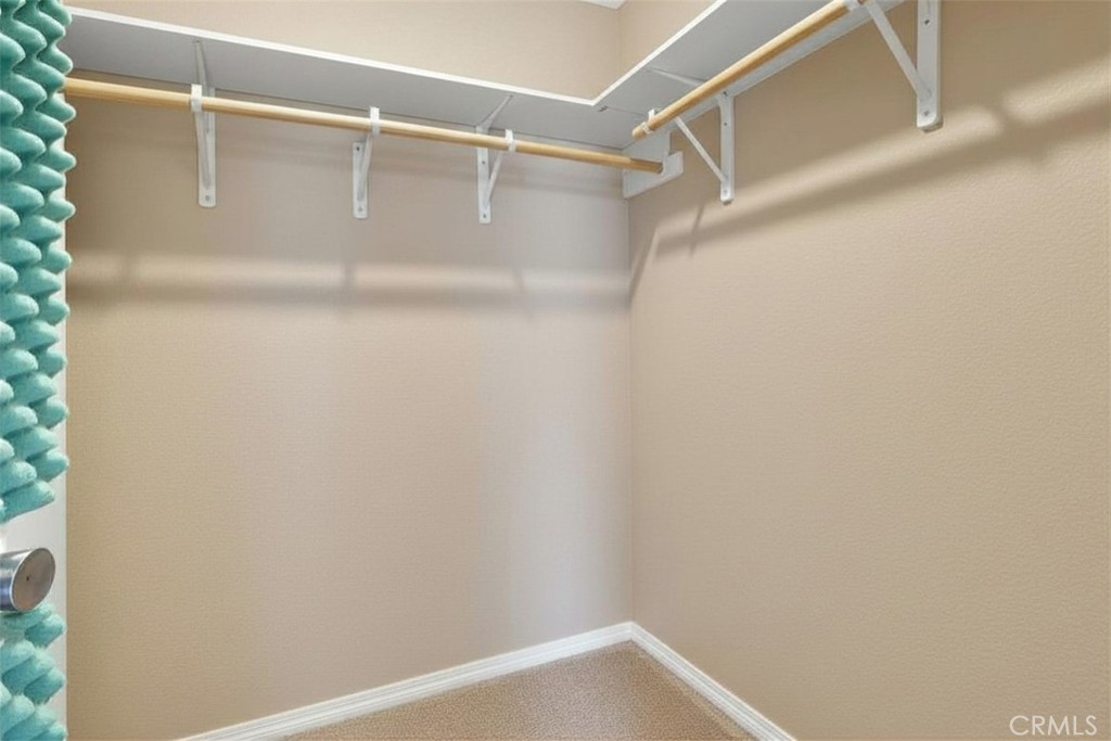 29631 Silver Street Castaic, CA 91384 - Photo 7 of 36 Walk in Closet downstairs