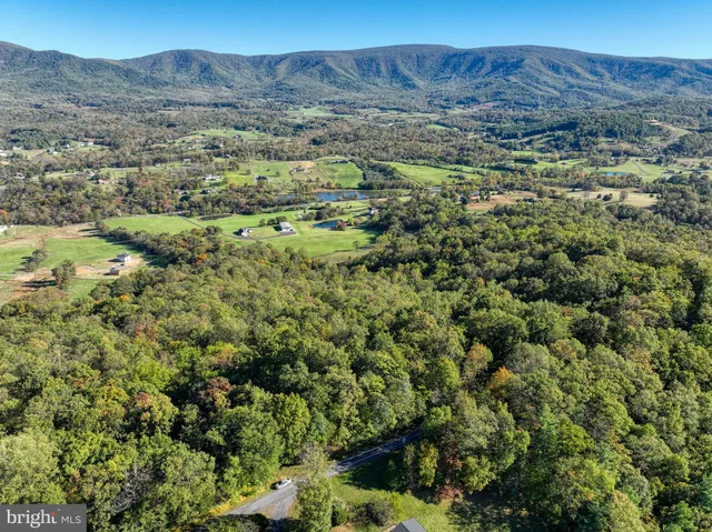 a view of a forest with mountains in the background