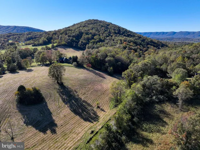 a view of a lush green field with a tree in the background